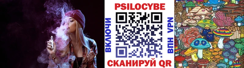 Псилоцибиновые грибы Psilocybine cubensis  наркота  Цимлянск 